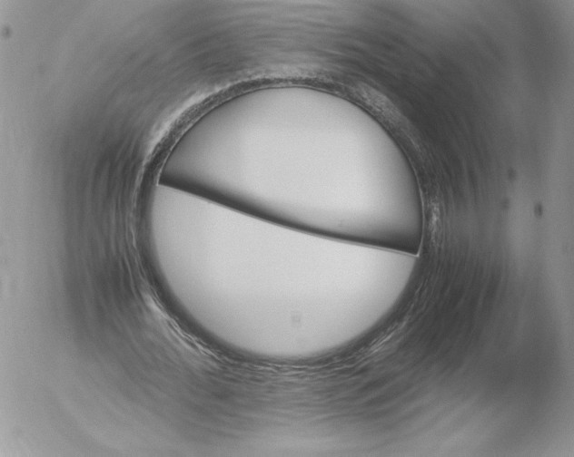 X0000052610676200507221700