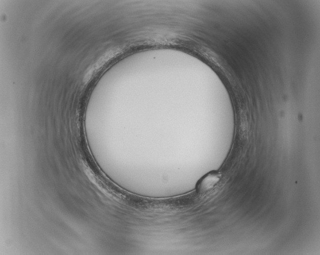 X0000052610677200507221700