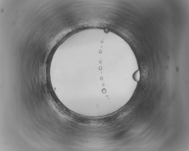 X0000052610678200507221700