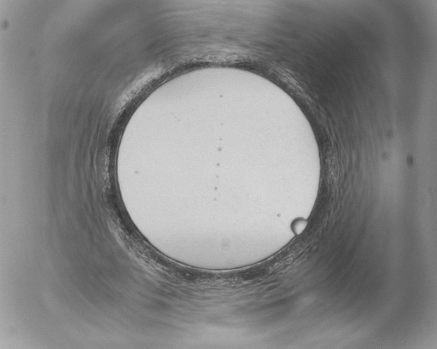 X0000052610679200507221700