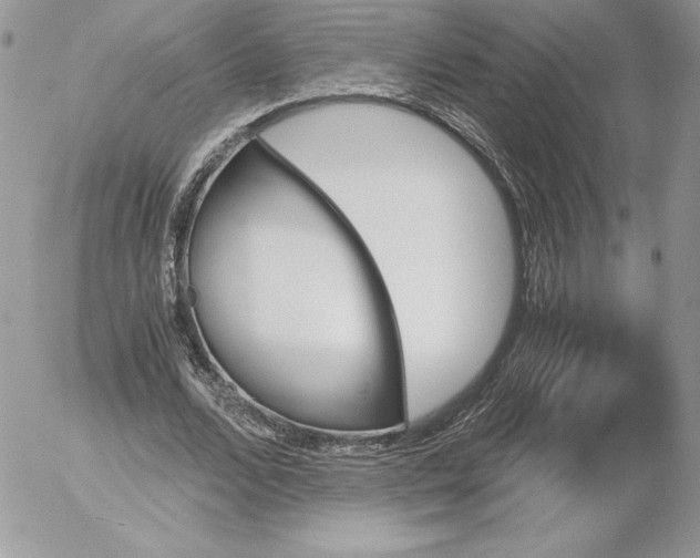 X0000052610680200507221700