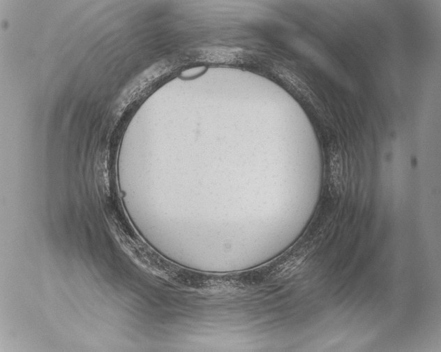 X0000052610682200507221700