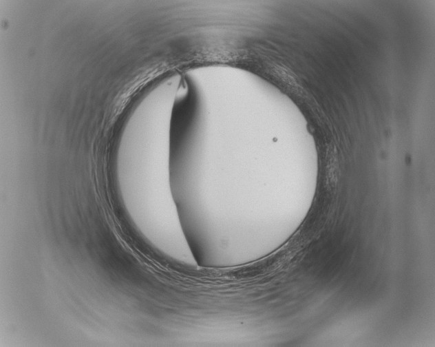 X0000052610683200507221700