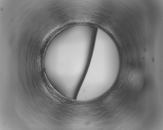 X0000052610684200507221700