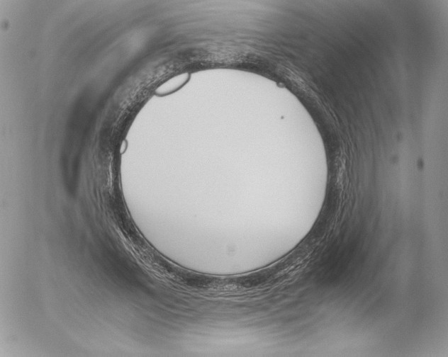 X0000052610685200507221659