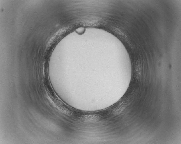 X0000052610686200507221659