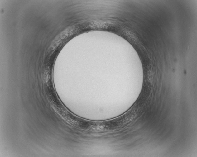 X0000052610687200507221659