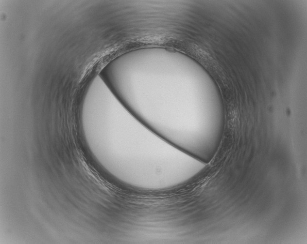 X0000052610688200507221659