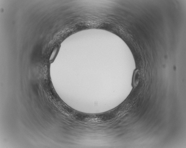 X0000052610689200507221659