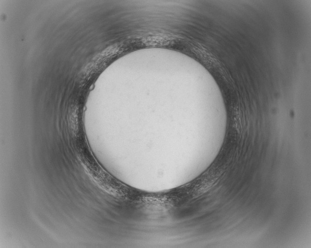 X0000052610690200507221659