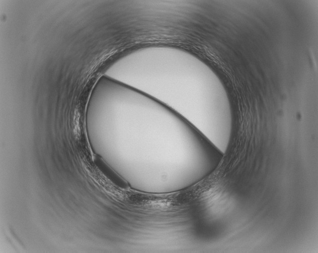 X0000052610692200507221659