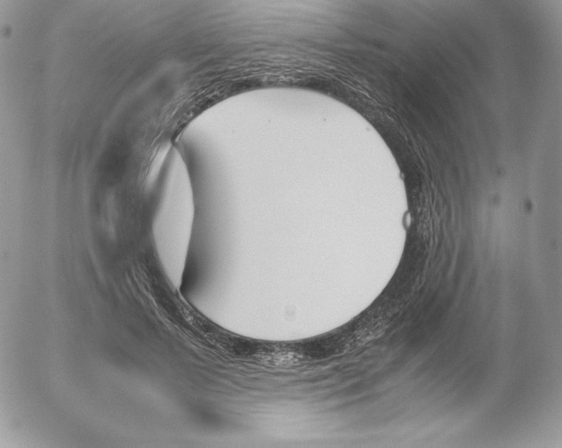 X0000052610695200507221659