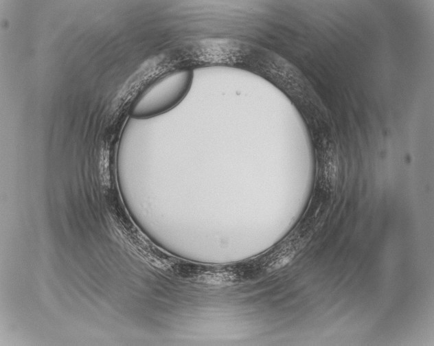 X0000052610696200507221659