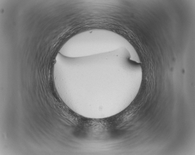 X0000052610697200507221659