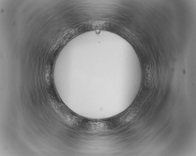 X0000052610698200507221659