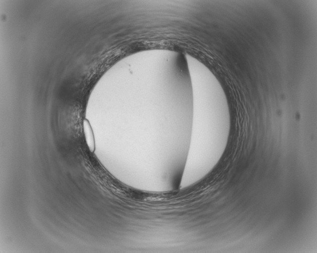 X0000052610699200507221659