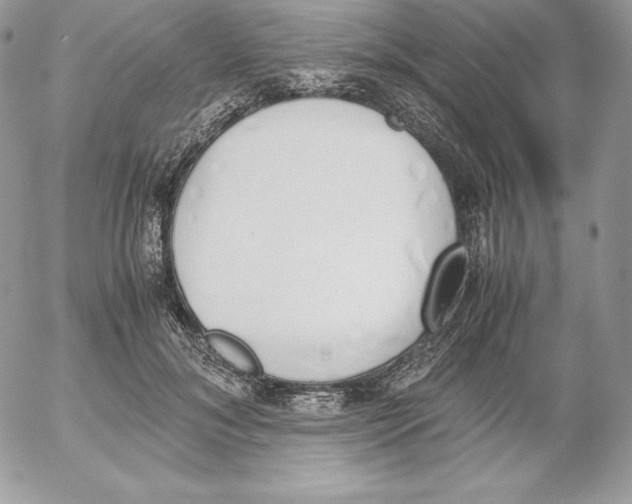 X0000052610700200507221659