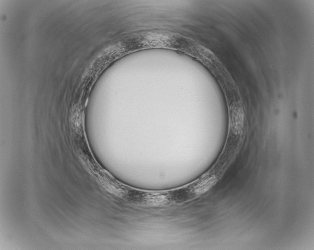 X0000052610701200507221659