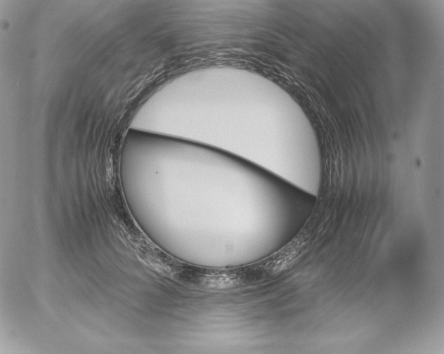 X0000052610704200507221659