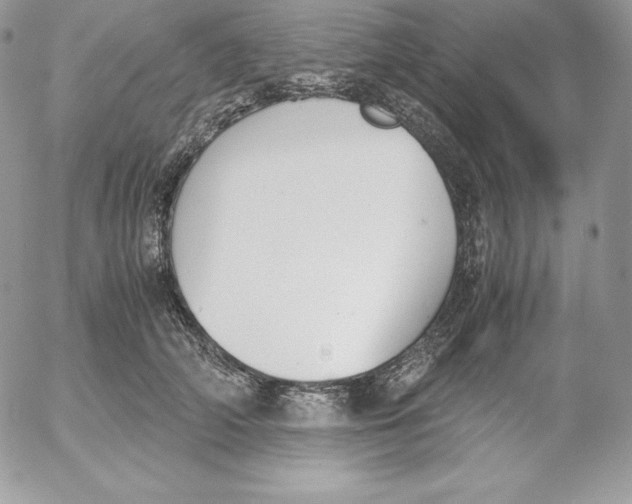 X0000052610706200507221659