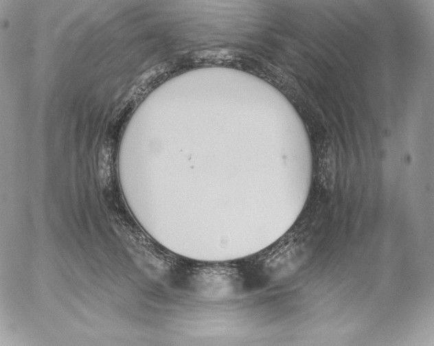 X0000052610708200507221659