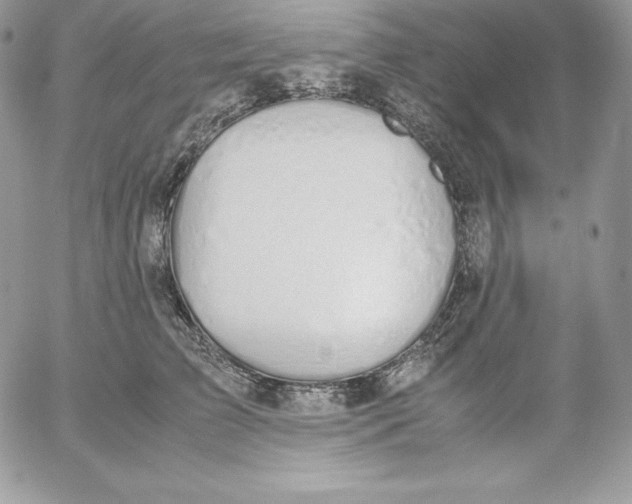 X0000052610709200507221659