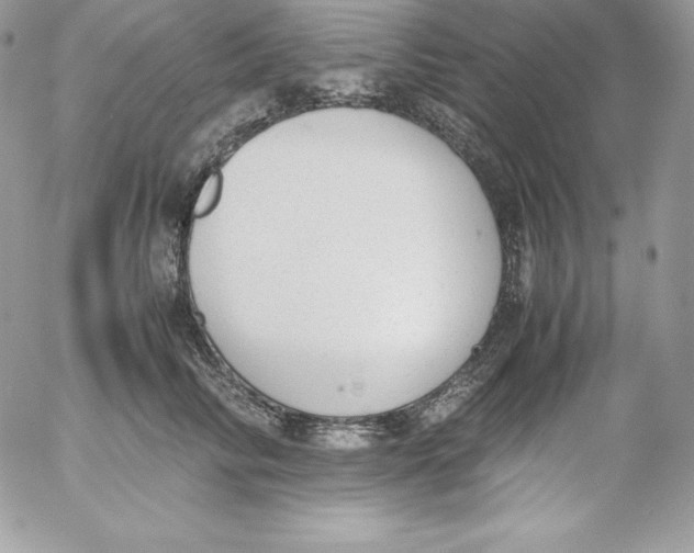 X0000052610710200507221659