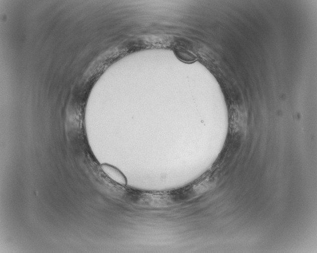 X0000052610713200507221659