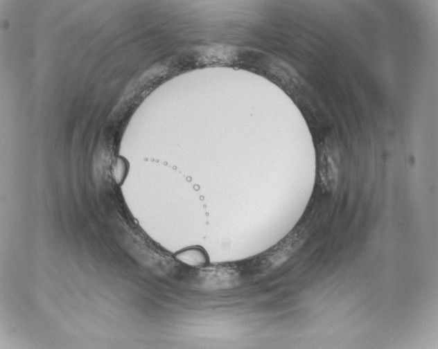 X0000052610714200507221659