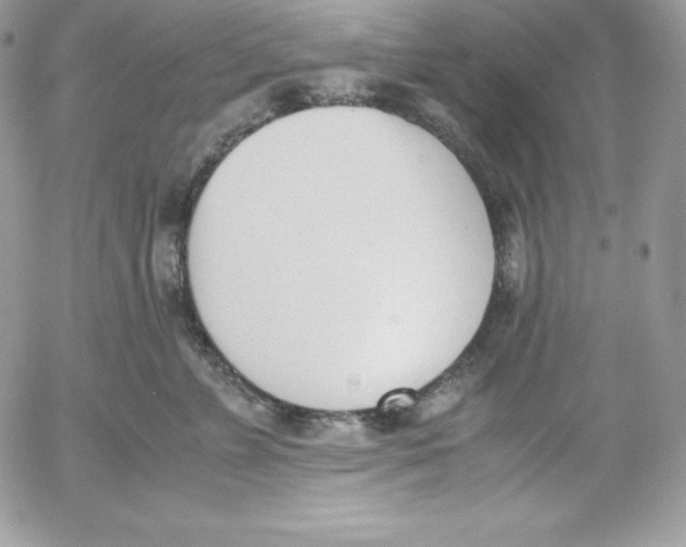 X0000052610715200507221659