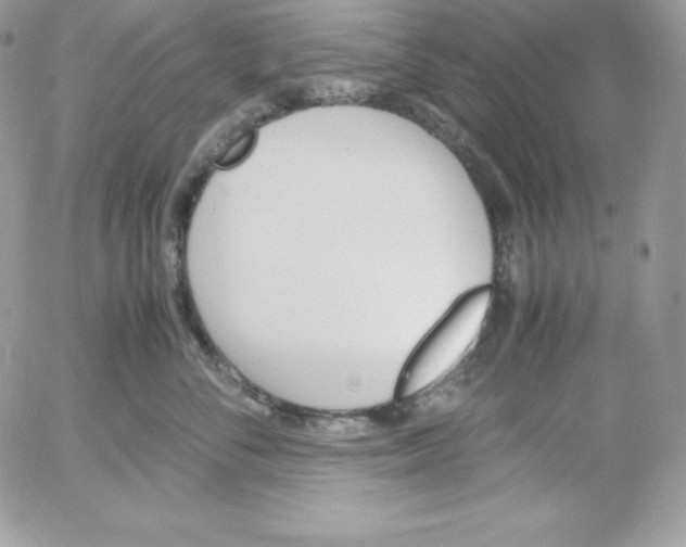 X0000052610716200507221659