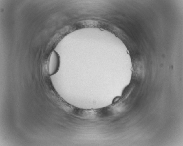 X0000052610717200507221659