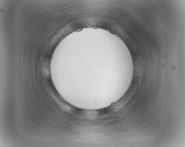 X0000052610719200507221659