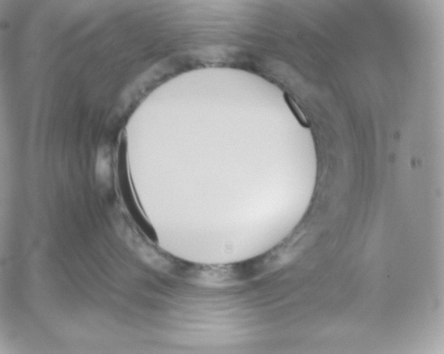 X0000052610720200507221659