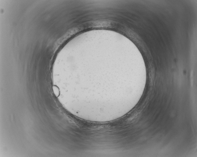 X0000052610721200507221658