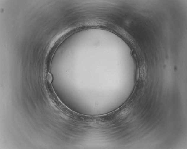 X0000052610724200507221658