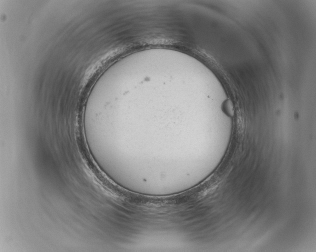 X0000052610725200507221658