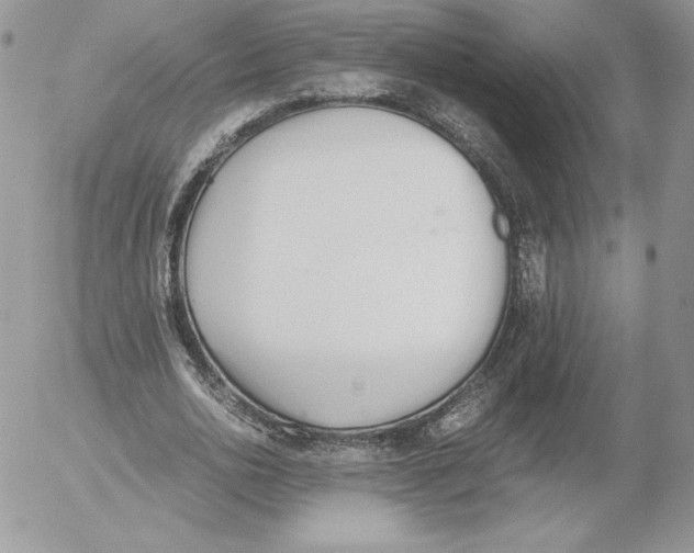 X0000052610726200507221658