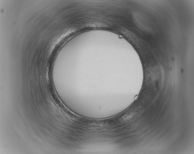 X0000052610727200507221658