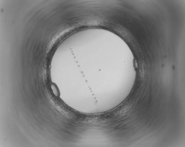 X0000052610728200507221658