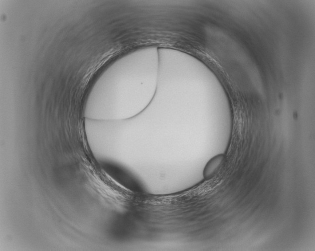 X0000052610729200507221658