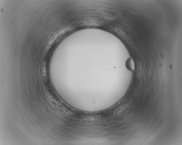 X0000052610731200507221658