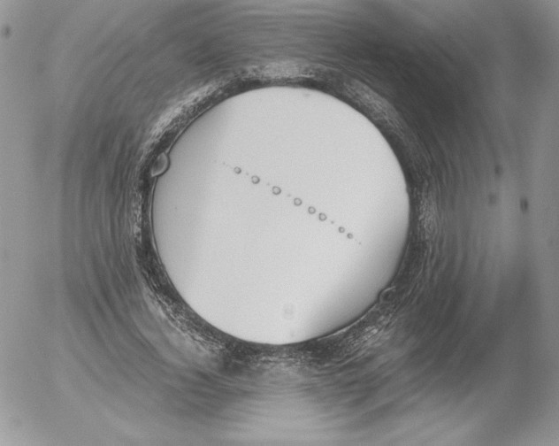 X0000052610732200507221658