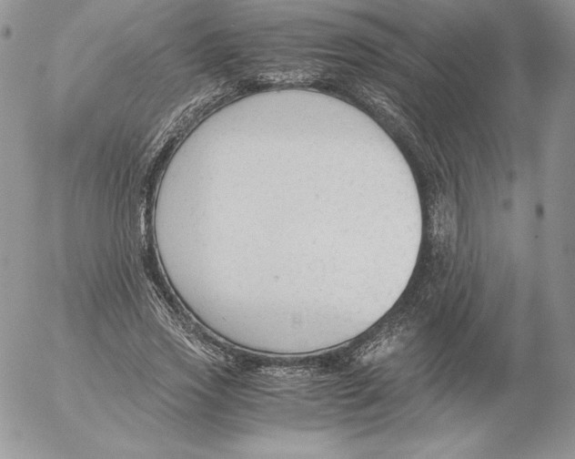 X0000052610733200507221658