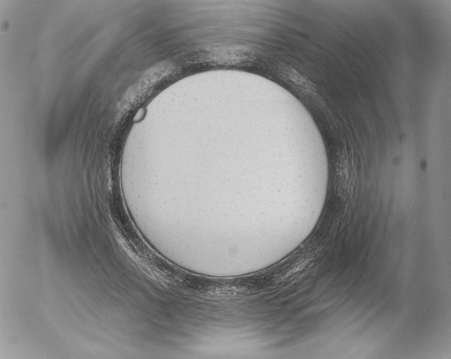 X0000052610734200507221658