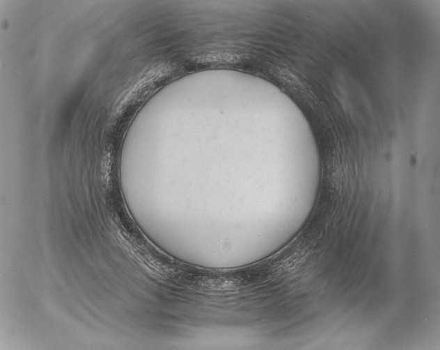 X0000052610735200507221658