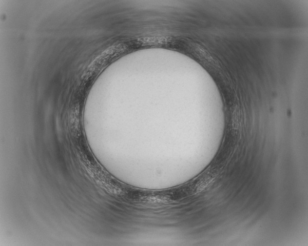 X0000052610737200507221658