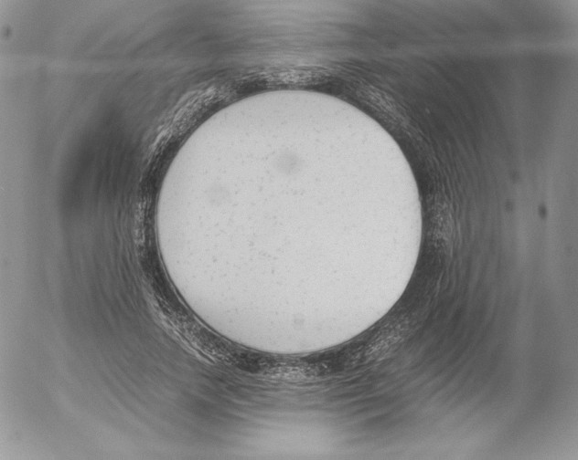 X0000052610738200507221658