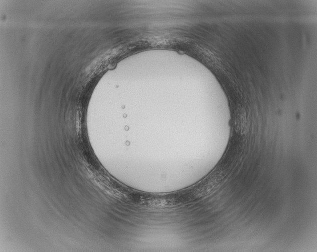 X0000052610740200507221658