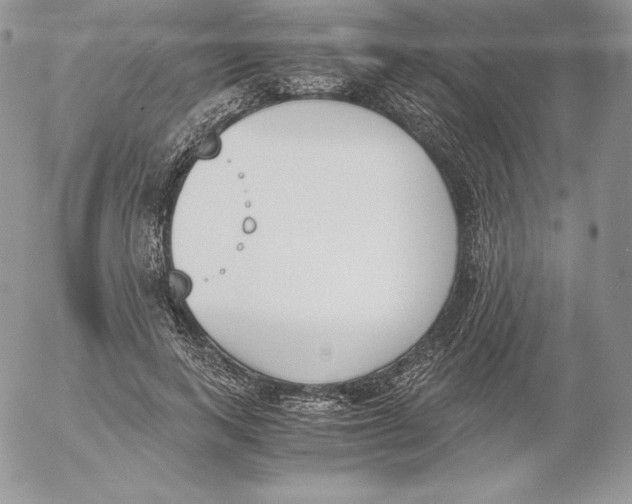 X0000052610743200507221658